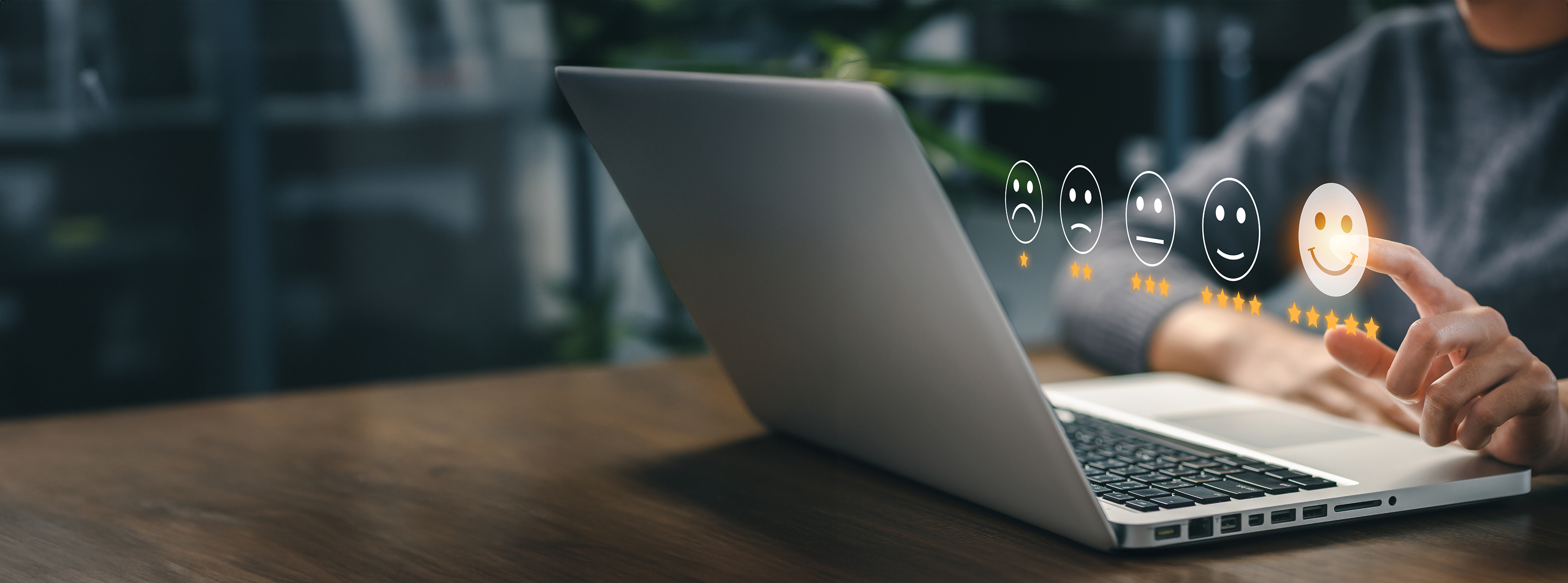 decorative image depicting survey